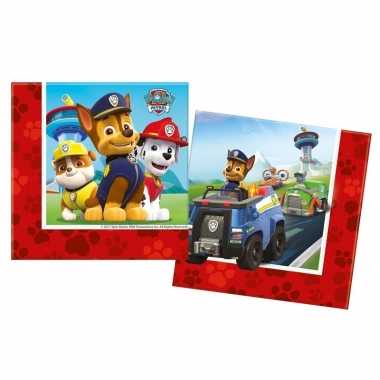 20x paw patrol feest servetten - feestje!