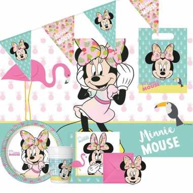 Disney minnie mouse kinderfeestje feestpakket 6-12 personenfeestje!