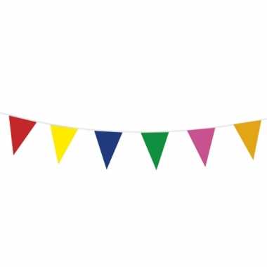 Feest vlaggenlijnen 10 meter- feestje!
