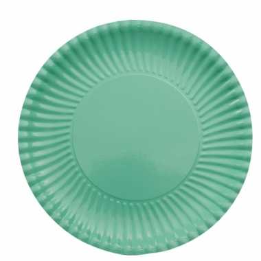 Feestartikelen borden mint groen 10 stuks- feestje!