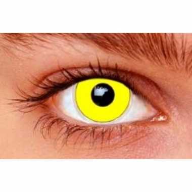 Gele feestlenzen- feestje!