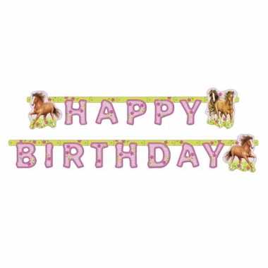 Paarden feestslingers- feestje!