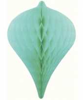 1x decoratie honeycomb pegels mintgroen 50 cm feestversiering feestje