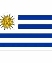 Vlag uruguay 90 x 150 cm feestartikelen feestje
