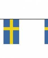 Zweedse feestvlaggetjes feestje
